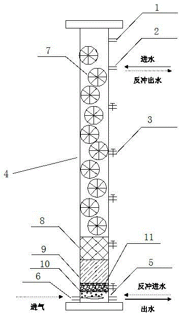 Composite biological filter for treating high algae-laden and high ammonia-nitrogen raw water and application method thereof