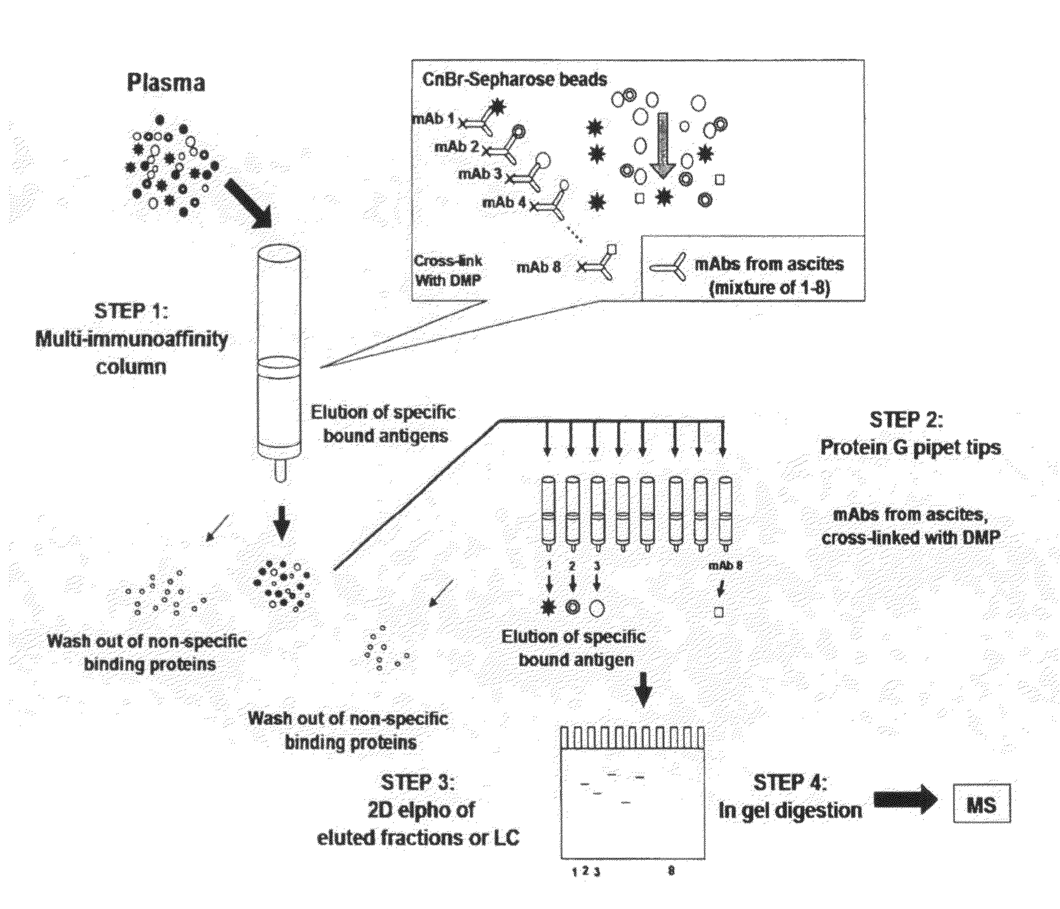 Multi-immunoaffinity based antigen identification