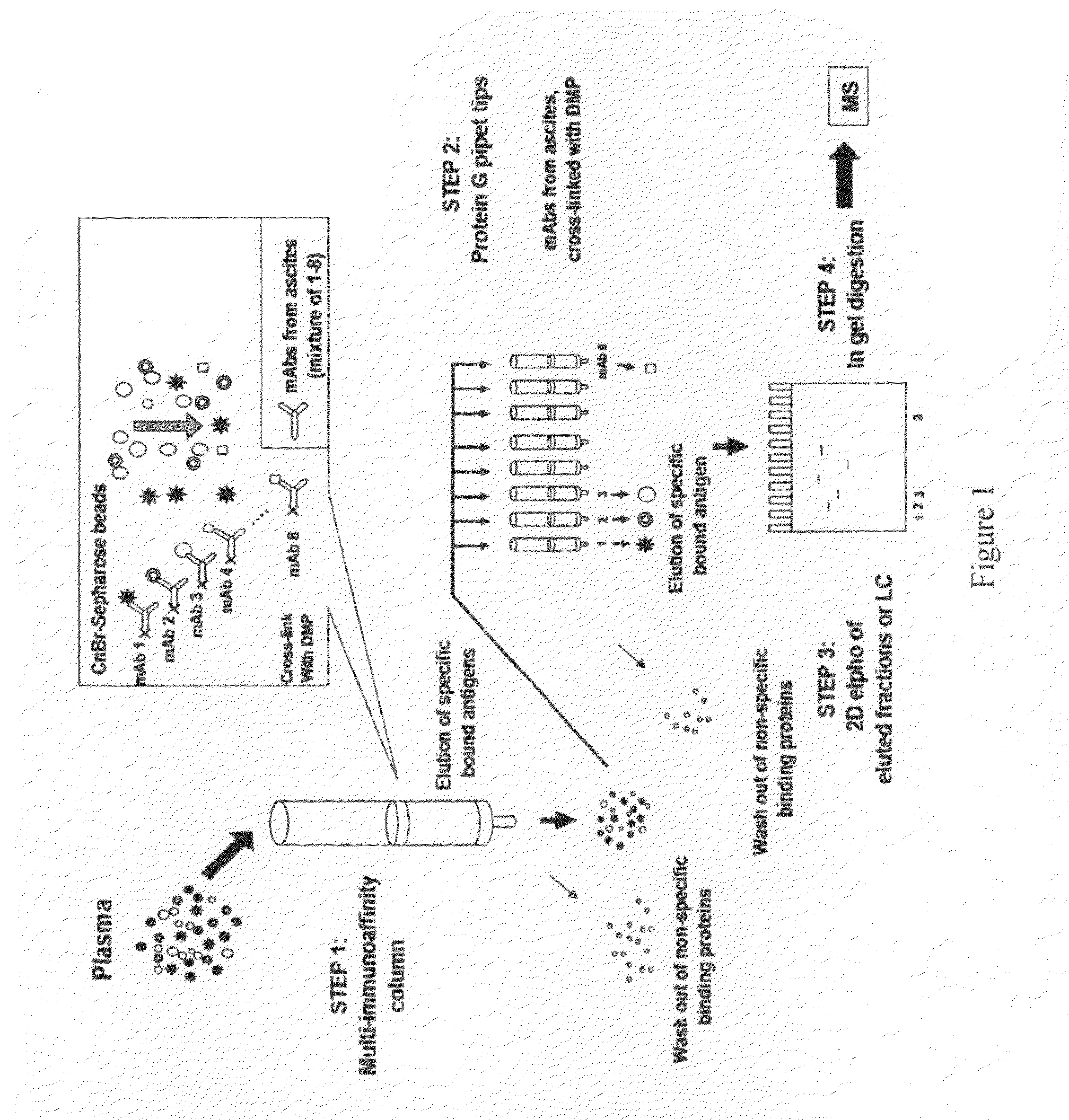 Multi-immunoaffinity based antigen identification