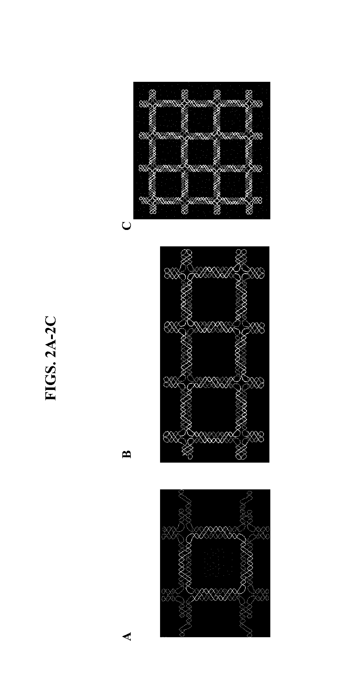 Structure assisted directed evolution of multivalent aptamers