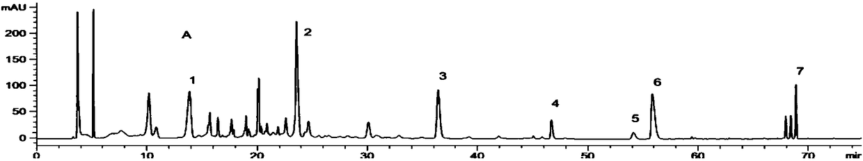 Pharmaceutical composition to prevent and treat diabetic nephropathy and preparation method thereof