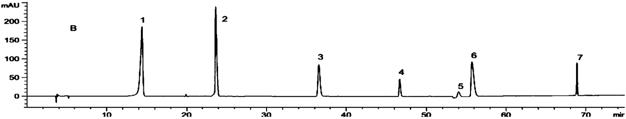 Pharmaceutical composition to prevent and treat diabetic nephropathy and preparation method thereof