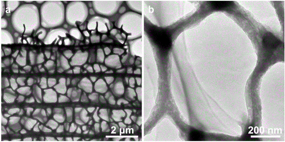 Preparation method of efficient oxygen reduction catalyst with insect wings as substrate