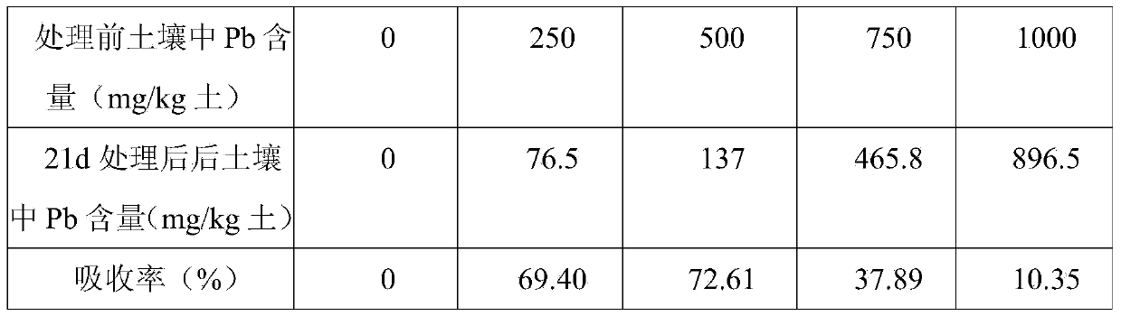 Method for ecologically restoring heavy metal contaminated soil