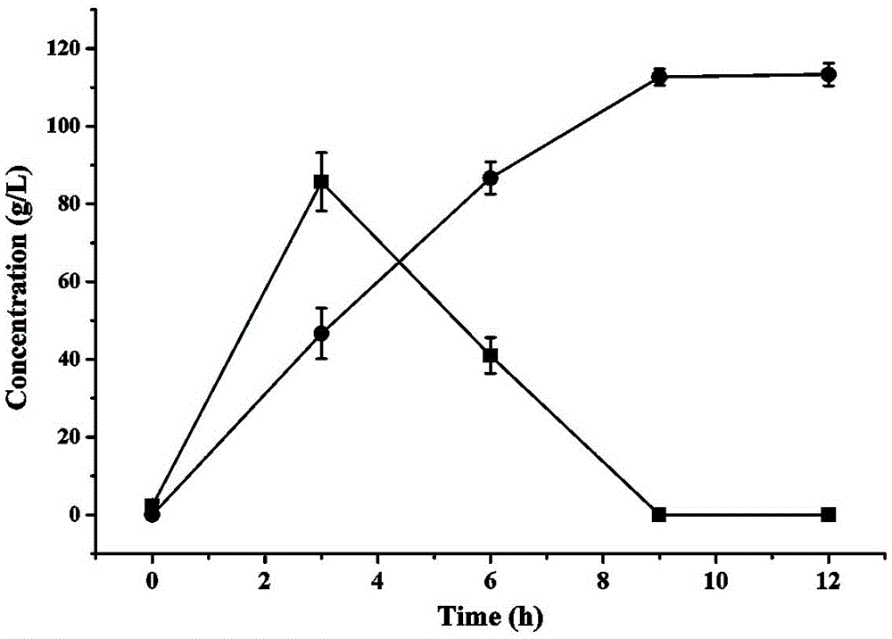 Constitutive expression genetically engineered bacterium and application thereof to produce L-alanine