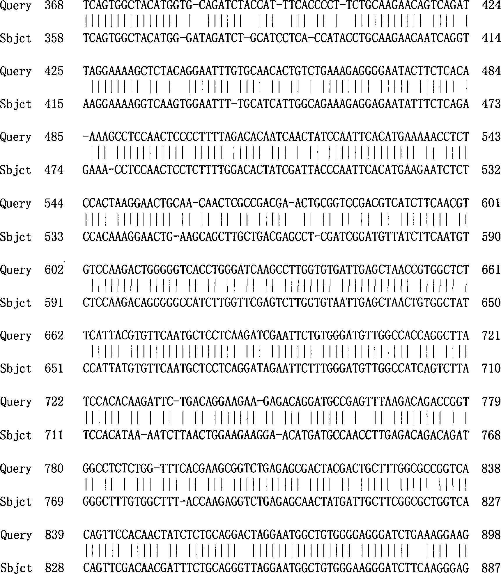 Salvia 1-deoxidation xylulose-5-phosphate synthase gene 1 and its coding protein and application