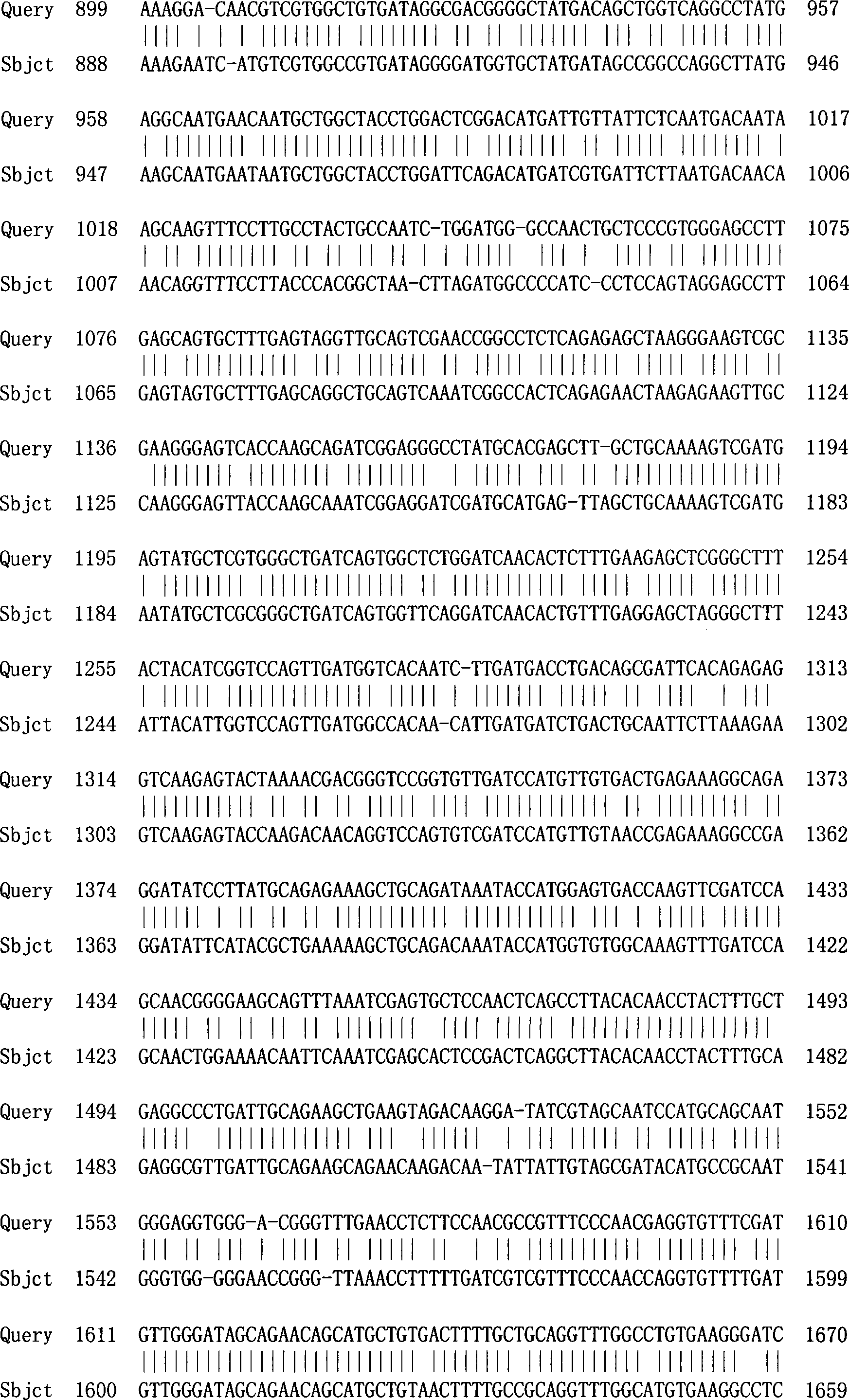 Salvia 1-deoxidation xylulose-5-phosphate synthase gene 1 and its coding protein and application