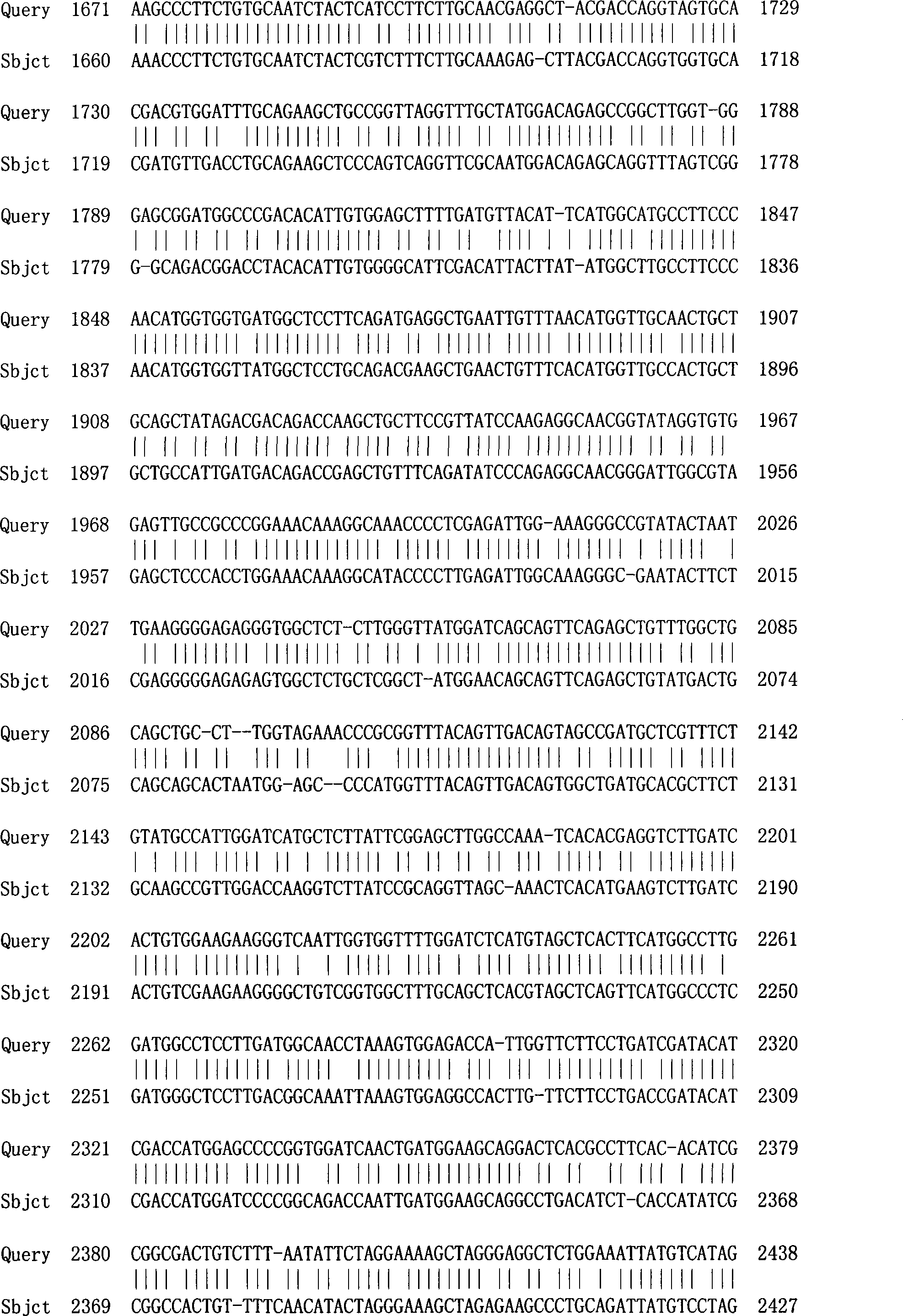 Salvia 1-deoxidation xylulose-5-phosphate synthase gene 1 and its coding protein and application