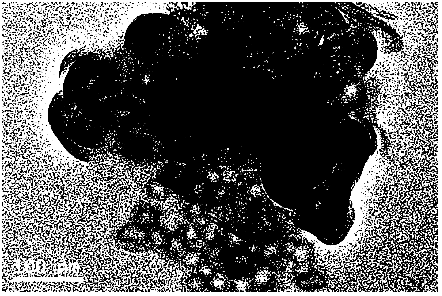 Preparation method for hollow nano metal