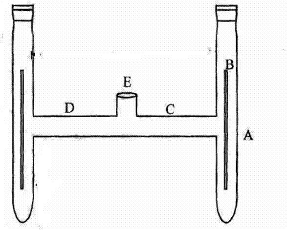 Application of trans-caryophyllene to cyrtorhinus lividipennis attractant