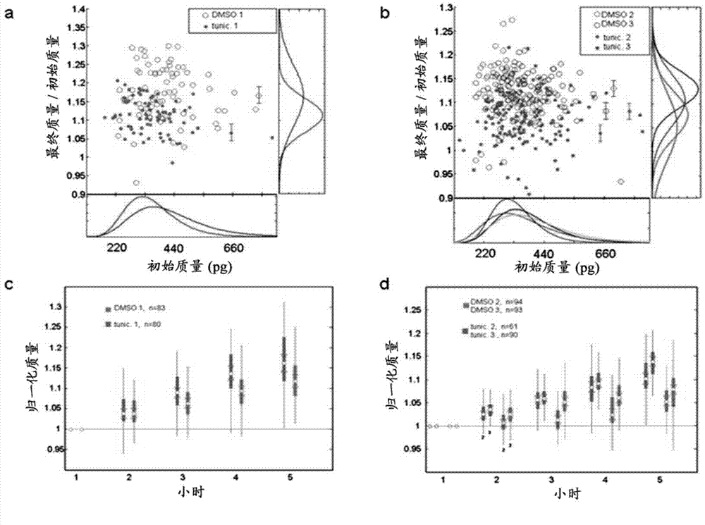 Rapid, massively parallel single-cell drug response measurements via live cell interferometry