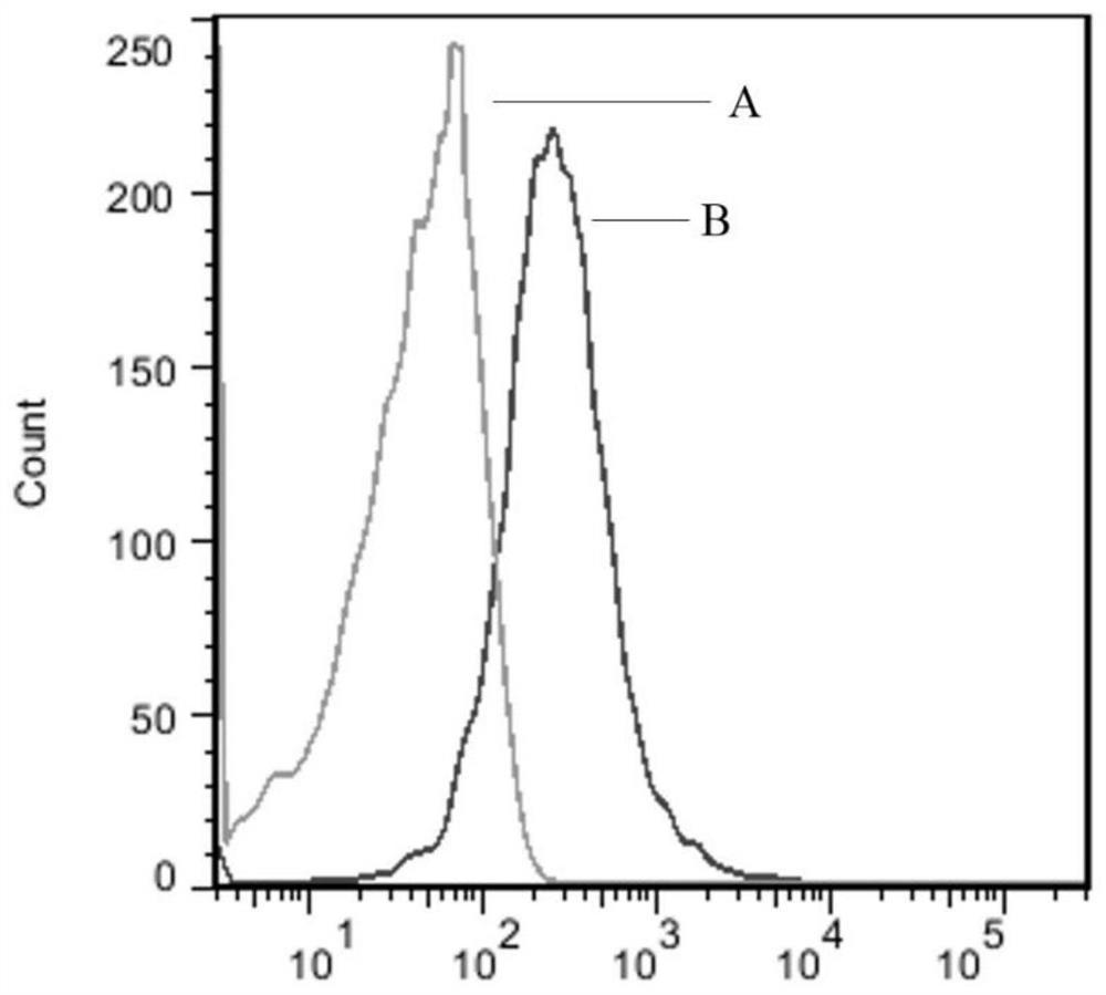 Preparation and application of escherichia coli preferred soluble porcine PD-1 recombinant protein