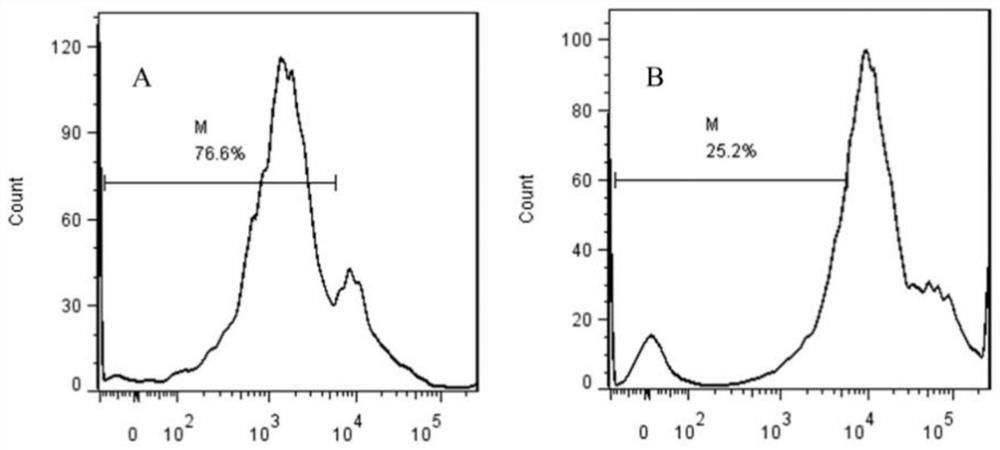 Preparation and application of escherichia coli preferred soluble porcine PD-1 recombinant protein