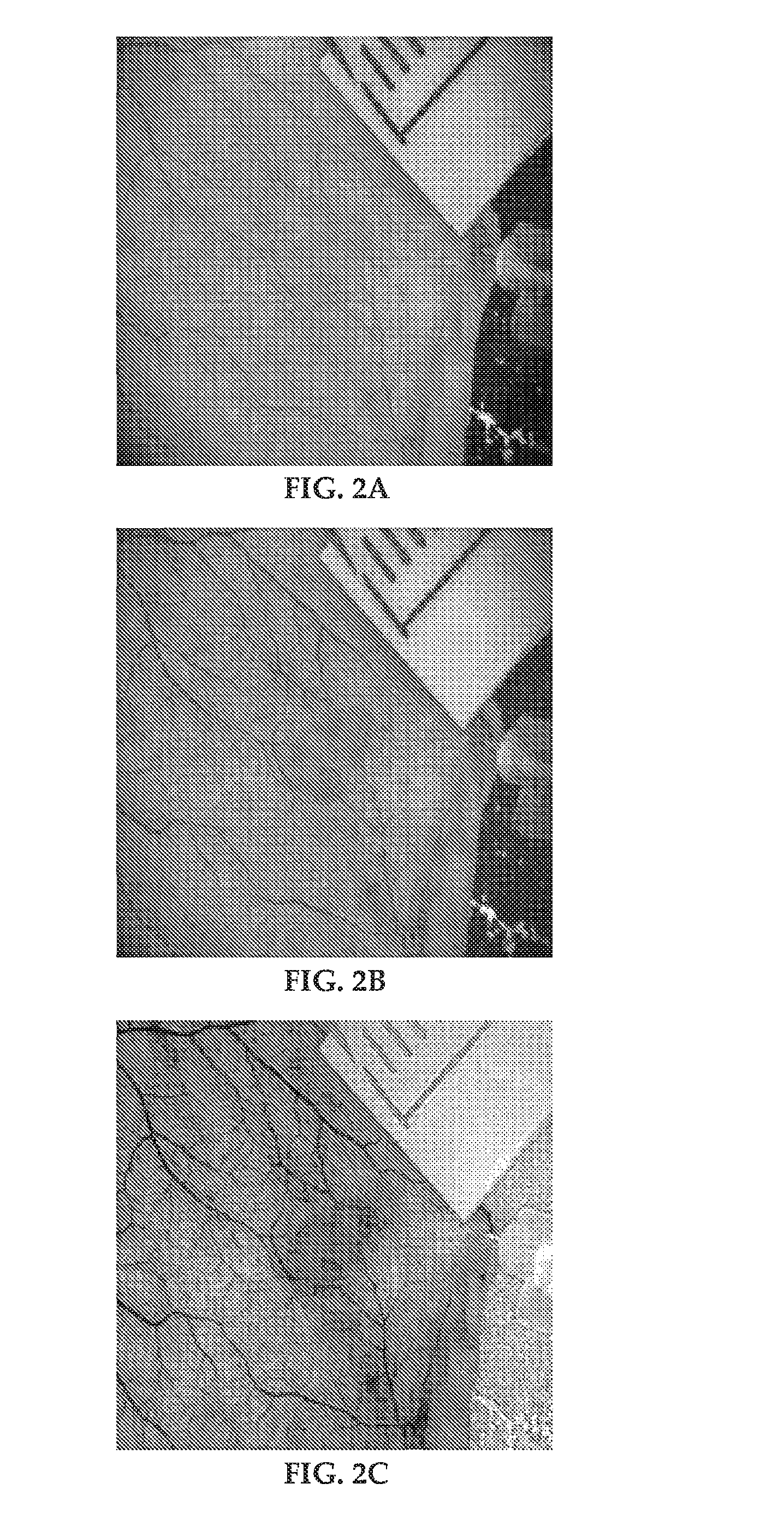 Methods and devices suitable for imaging blood-containing tissue