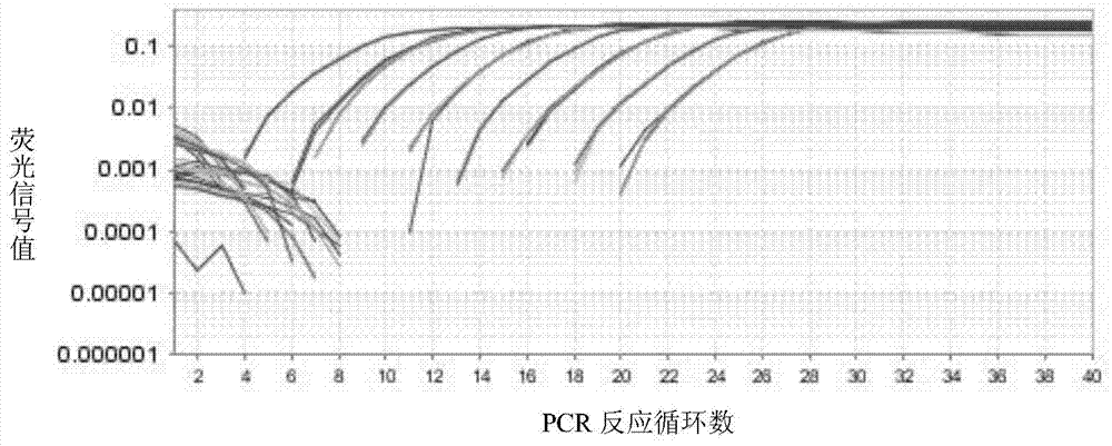 Primer and method for carrying out specific detection and absolute quantification on tomato spotted wilt virus