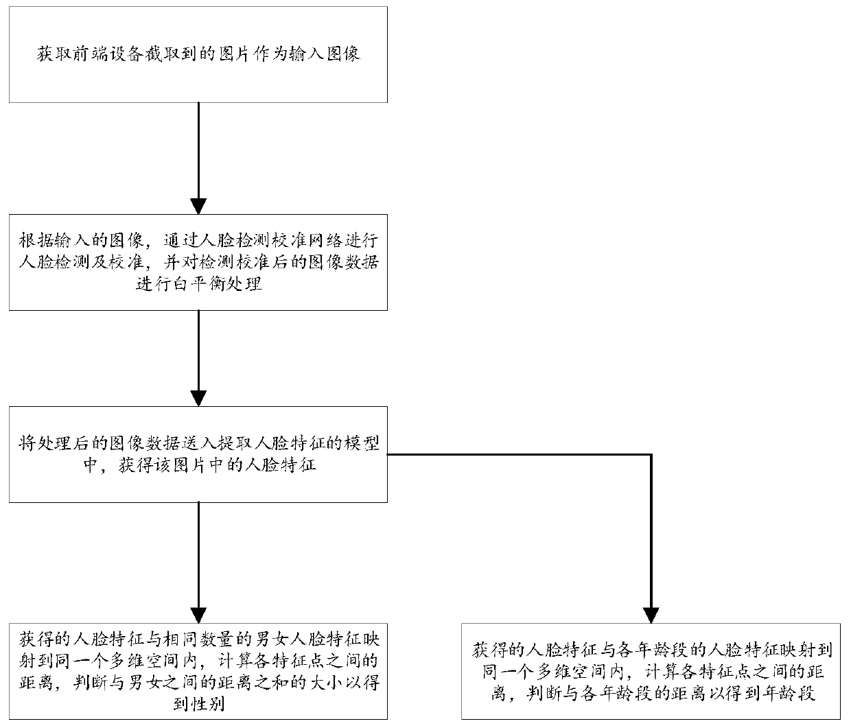 System and method for carrying out age estimation and/or gender recognition based on face features