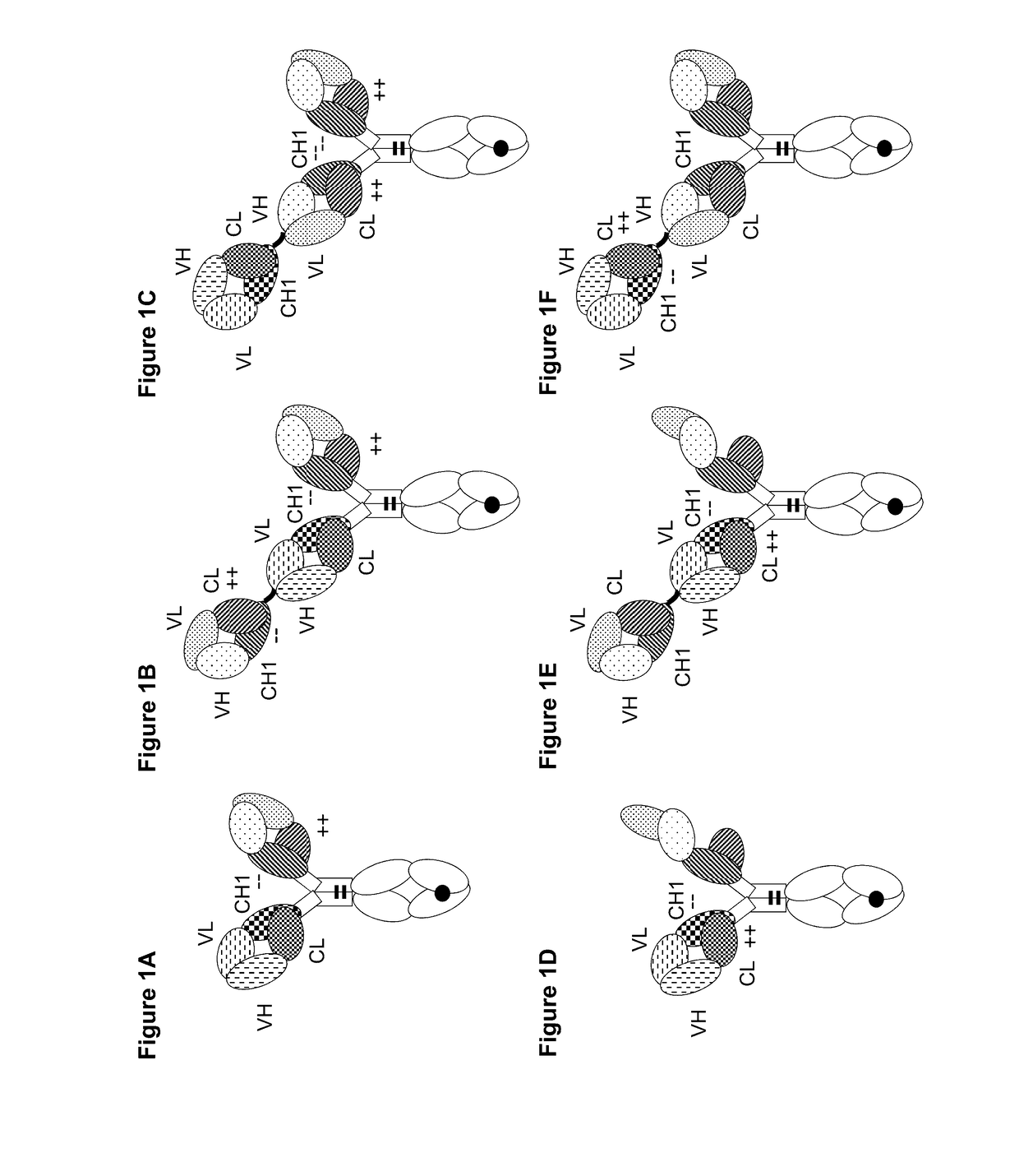 Bispecific t cell activating antigen binding molecules