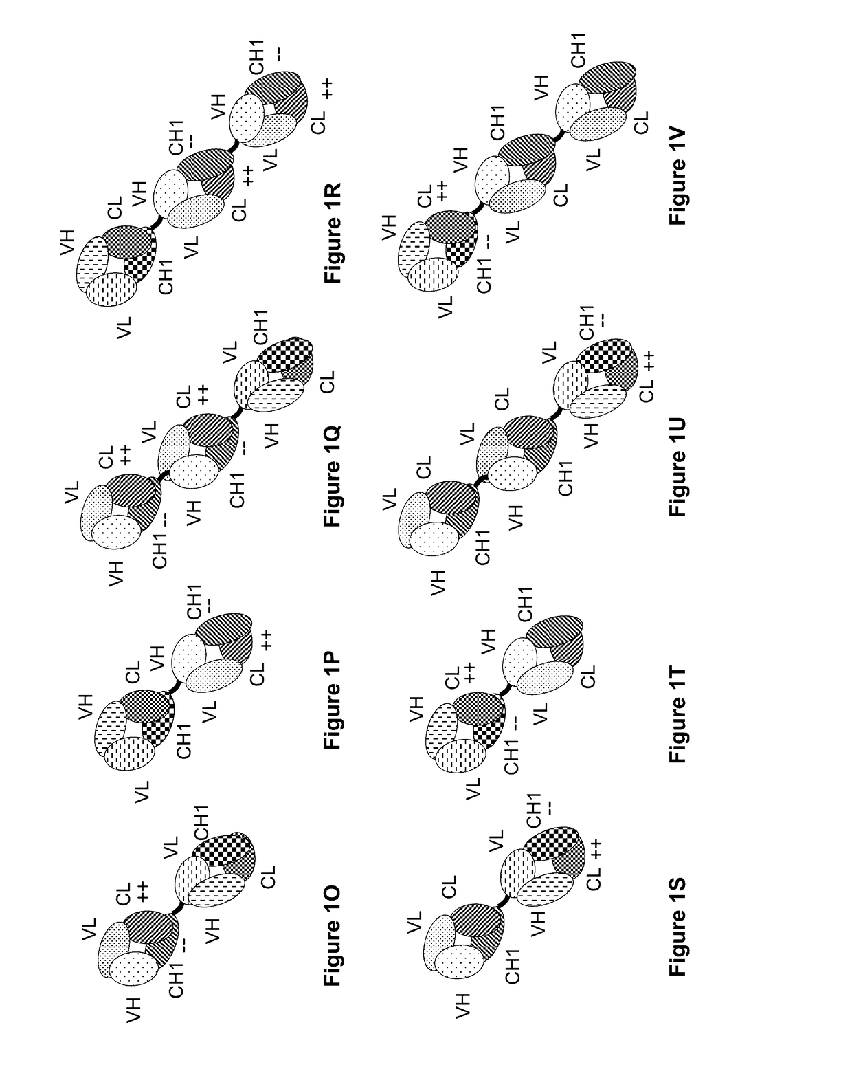 Bispecific t cell activating antigen binding molecules