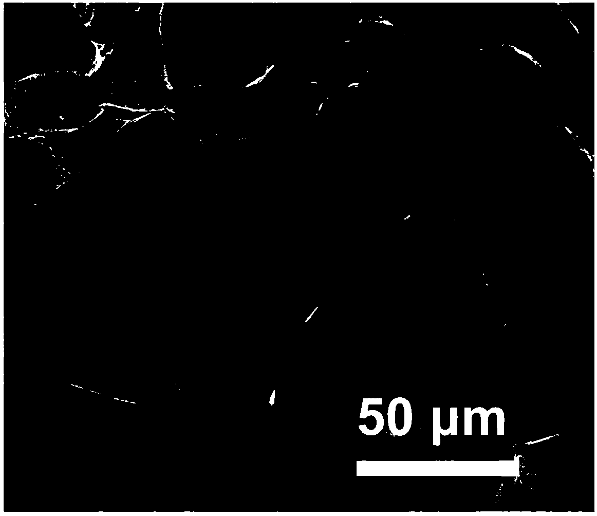 Metal coordination supramolecular hydrogel and preparation method thereof