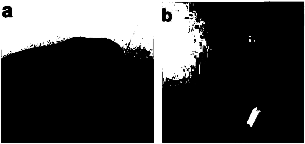 Metal coordination supramolecular hydrogel and preparation method thereof