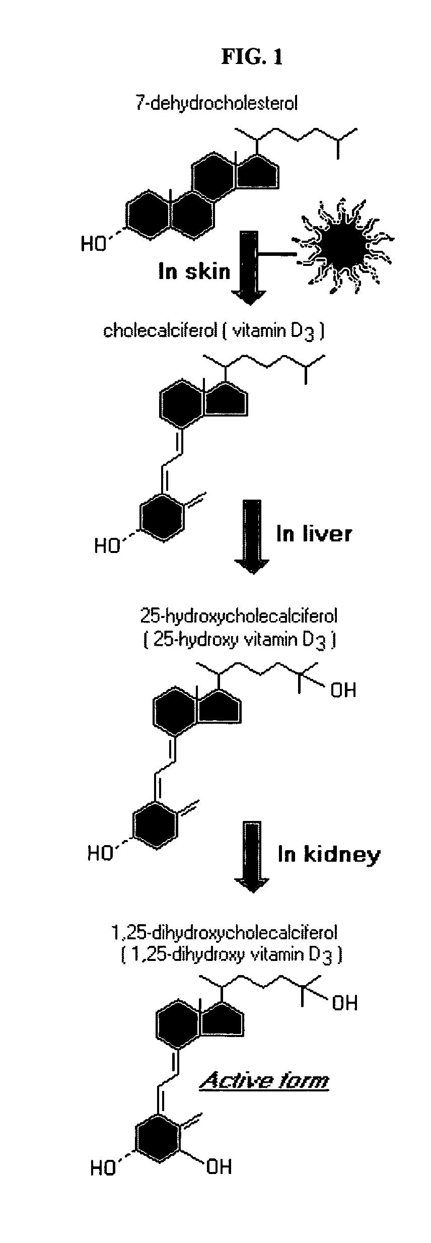 Compositions and methods for inhibiting bone resorption