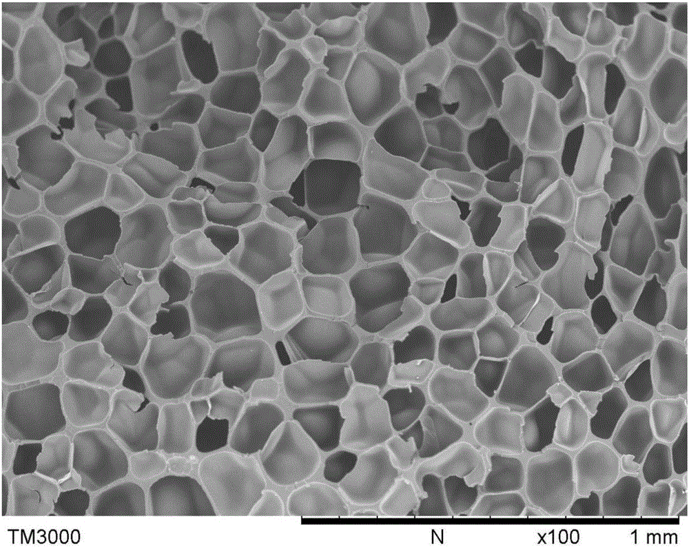 Method for preparing thermoplastic elastomer foamed beads