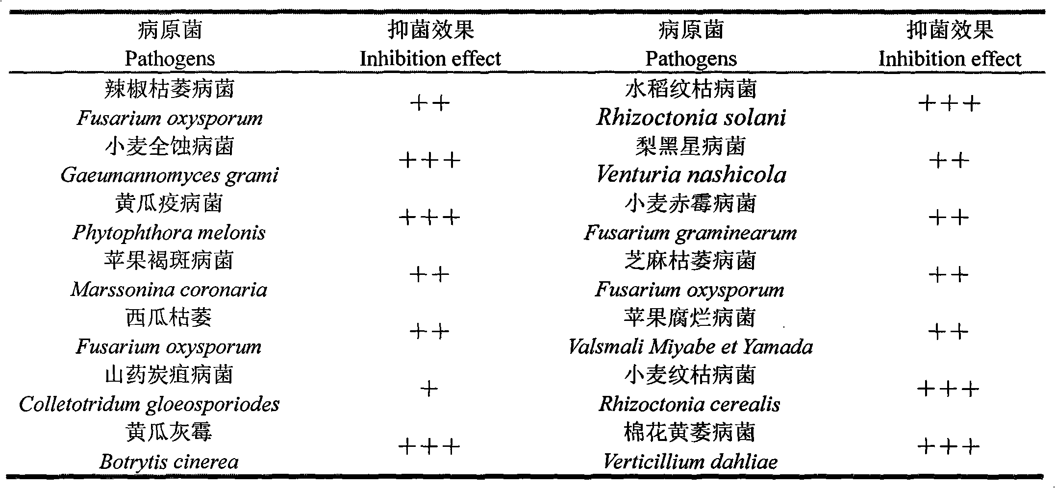 Trichoderma viride fungi and preparation and application of fungicide thereof