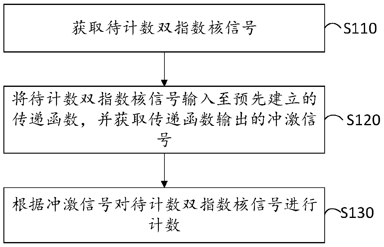 Double-exponential nuclear signal counting method and device