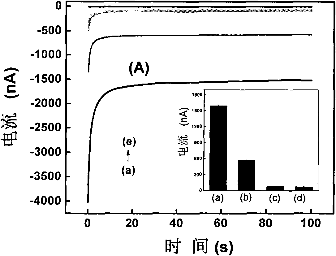 Electrochemical DNA biosensor for detecting BCR/ABL fusion gene of chronic myeloid leukemia (CML)