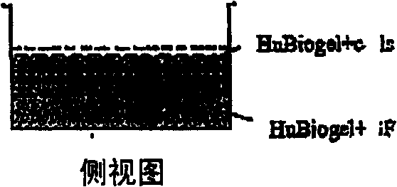 Biologically active native biomatrix composition