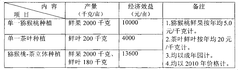 Three-dimensional planting method of kiwi fruit trees and tea trees