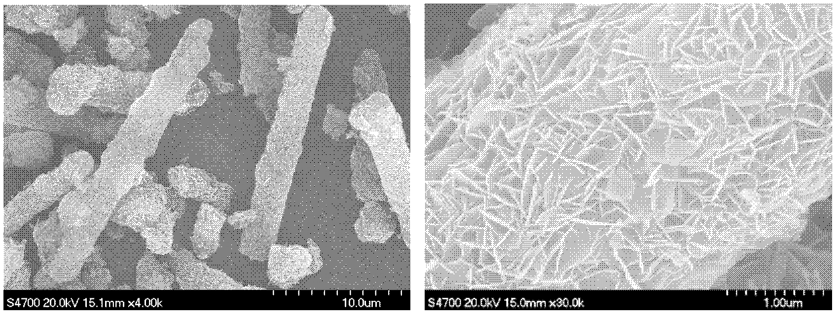 Method for preparing light magnesium carbonate