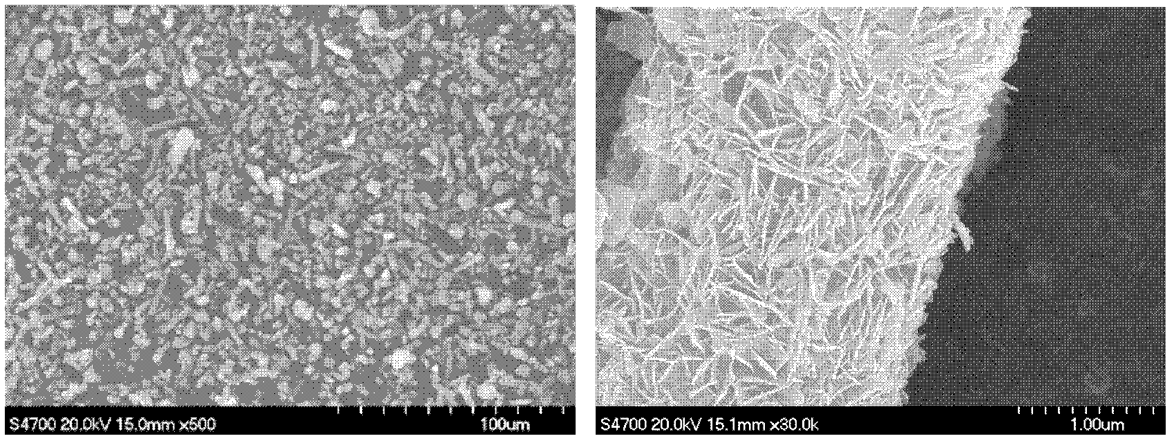 Method for preparing light magnesium carbonate