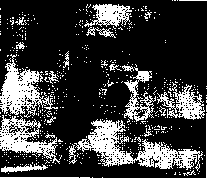 Hollow polymer microsphere and method for preparing same