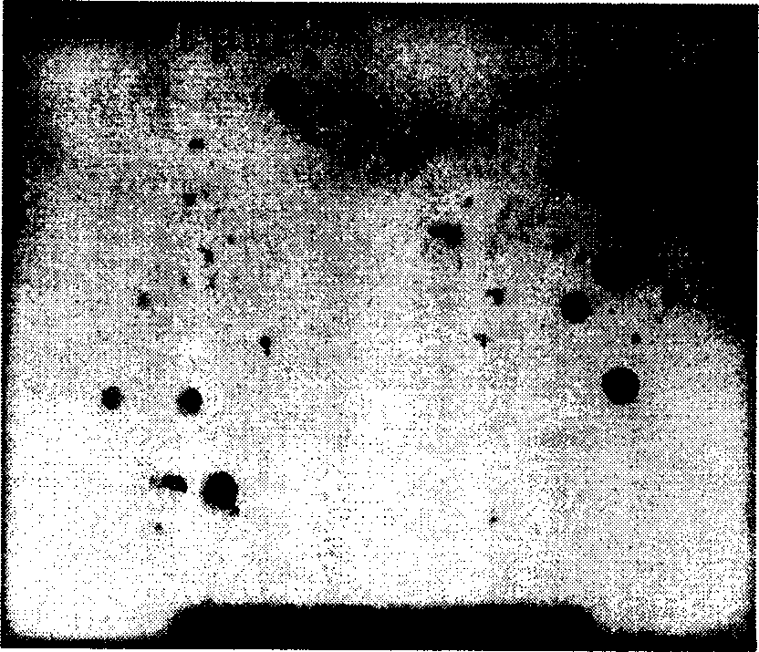 Hollow polymer microsphere and method for preparing same