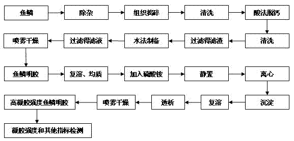 Preparation method of high-gel-strength fish scale gelatin