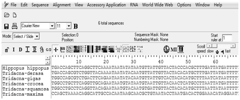 A kind of dna bar code standard detection method and its application of identifying giant clam