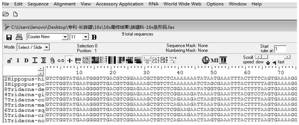 A kind of dna bar code standard detection method and its application of identifying giant clam