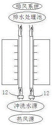 Clean diary cow water feeding and feed feeding system