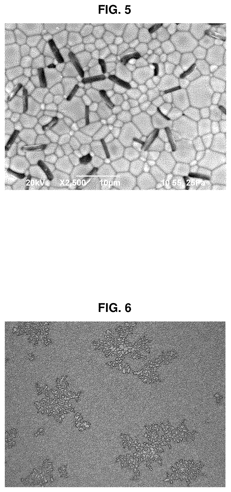 Wavelength converter and light-emitting device having same