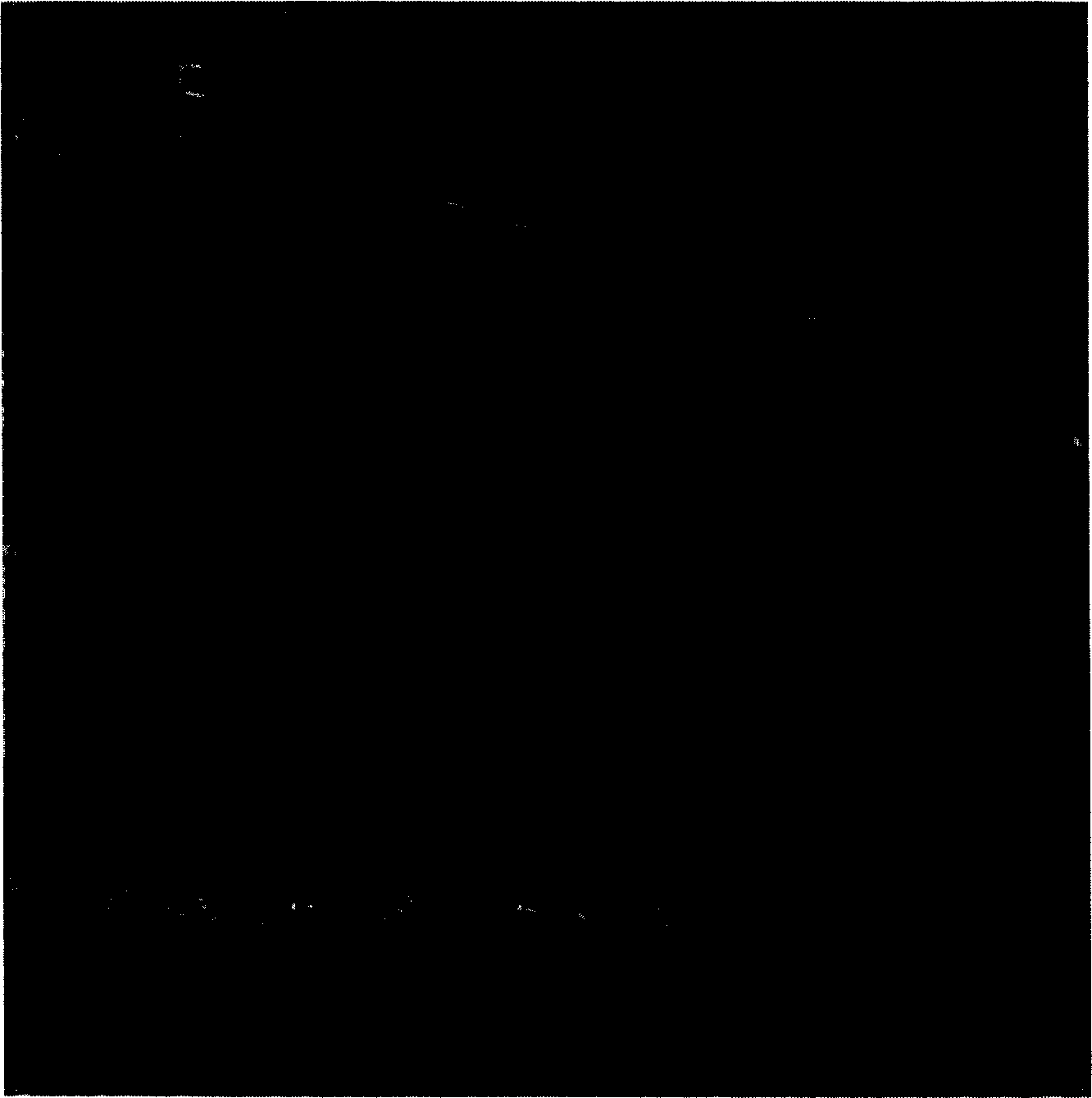 Process and apparatus for preparing dispersed composite nanometer TiO2/SiO2 particle