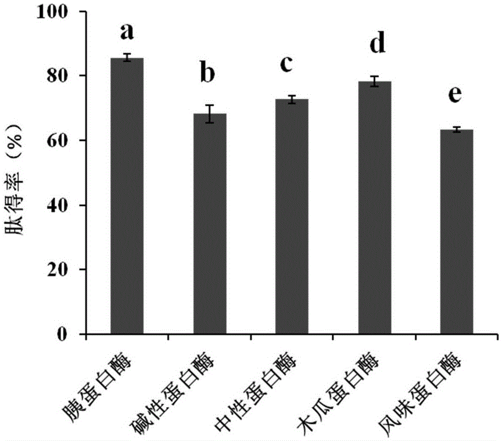 Preparation method of sea cucumber ovum peptide-calcium chelate