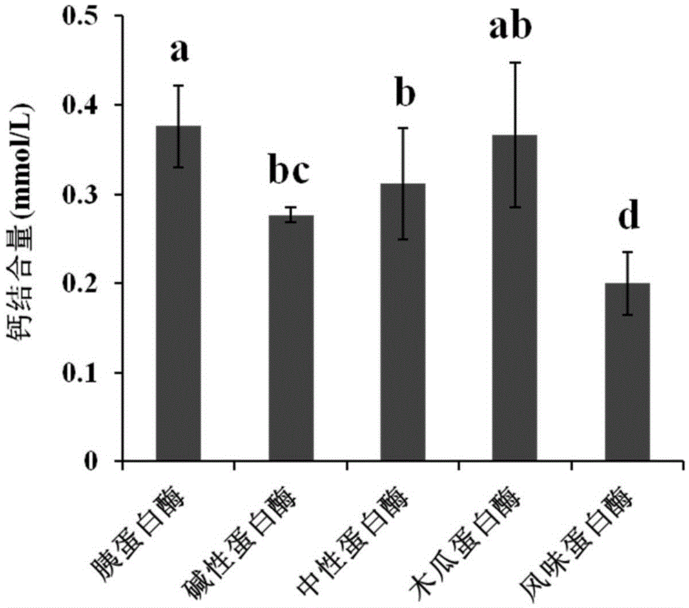 Preparation method of sea cucumber ovum peptide-calcium chelate