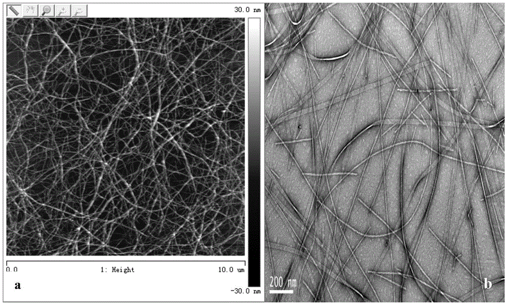 Amphipathic self-assembly ultra-short peptide nano hemostatic material