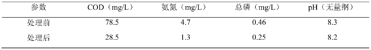 Quasi-earth-surface IV-type water standard deep treatment catalyst system, treatment method and device