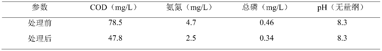 Quasi-earth-surface IV-type water standard deep treatment catalyst system, treatment method and device