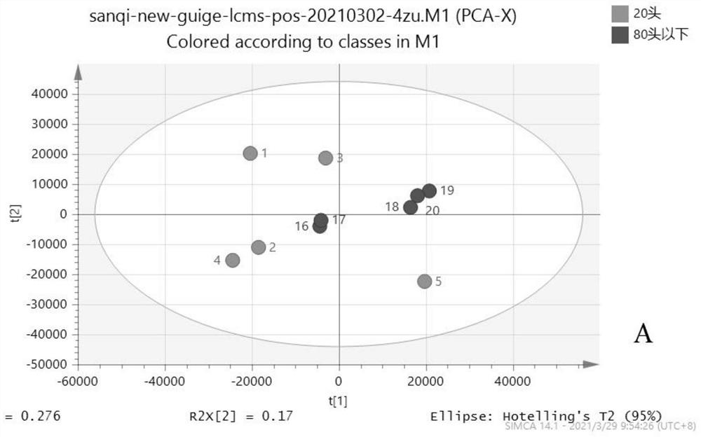 Method for identifying less than 25 pieces of pseudo-ginseng and less than 80 pieces of pseudo-ginseng based on non-targeted metabonomics