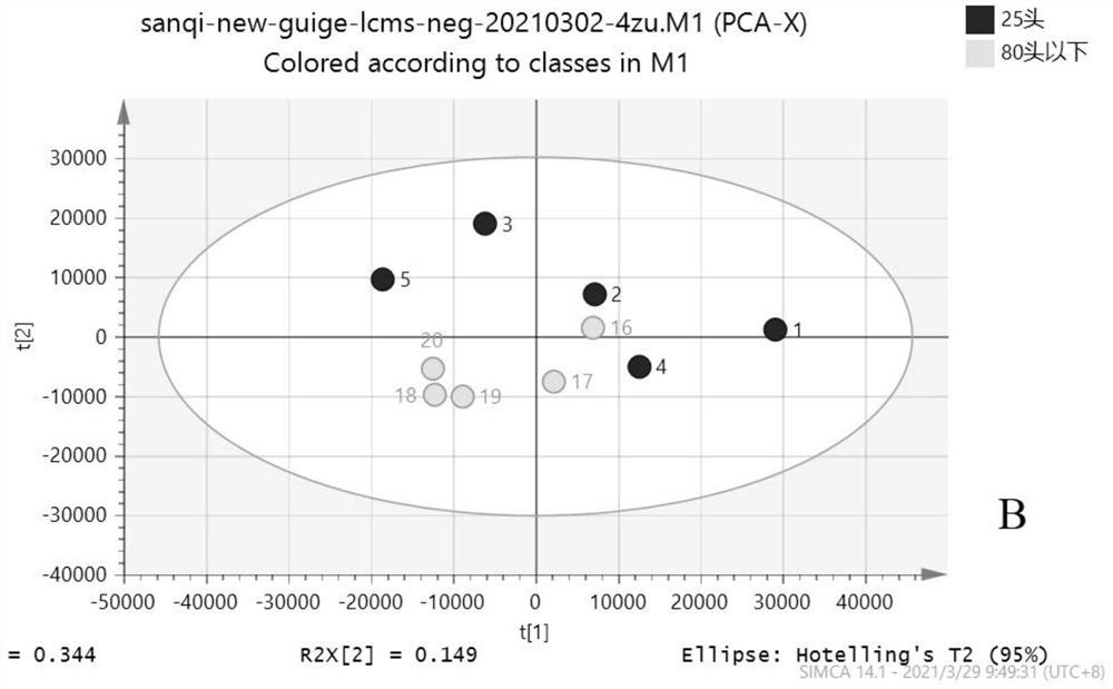 Method for identifying less than 25 pieces of pseudo-ginseng and less than 80 pieces of pseudo-ginseng based on non-targeted metabonomics