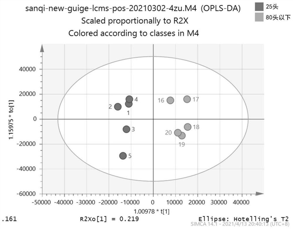 Method for identifying less than 25 pieces of pseudo-ginseng and less than 80 pieces of pseudo-ginseng based on non-targeted metabonomics