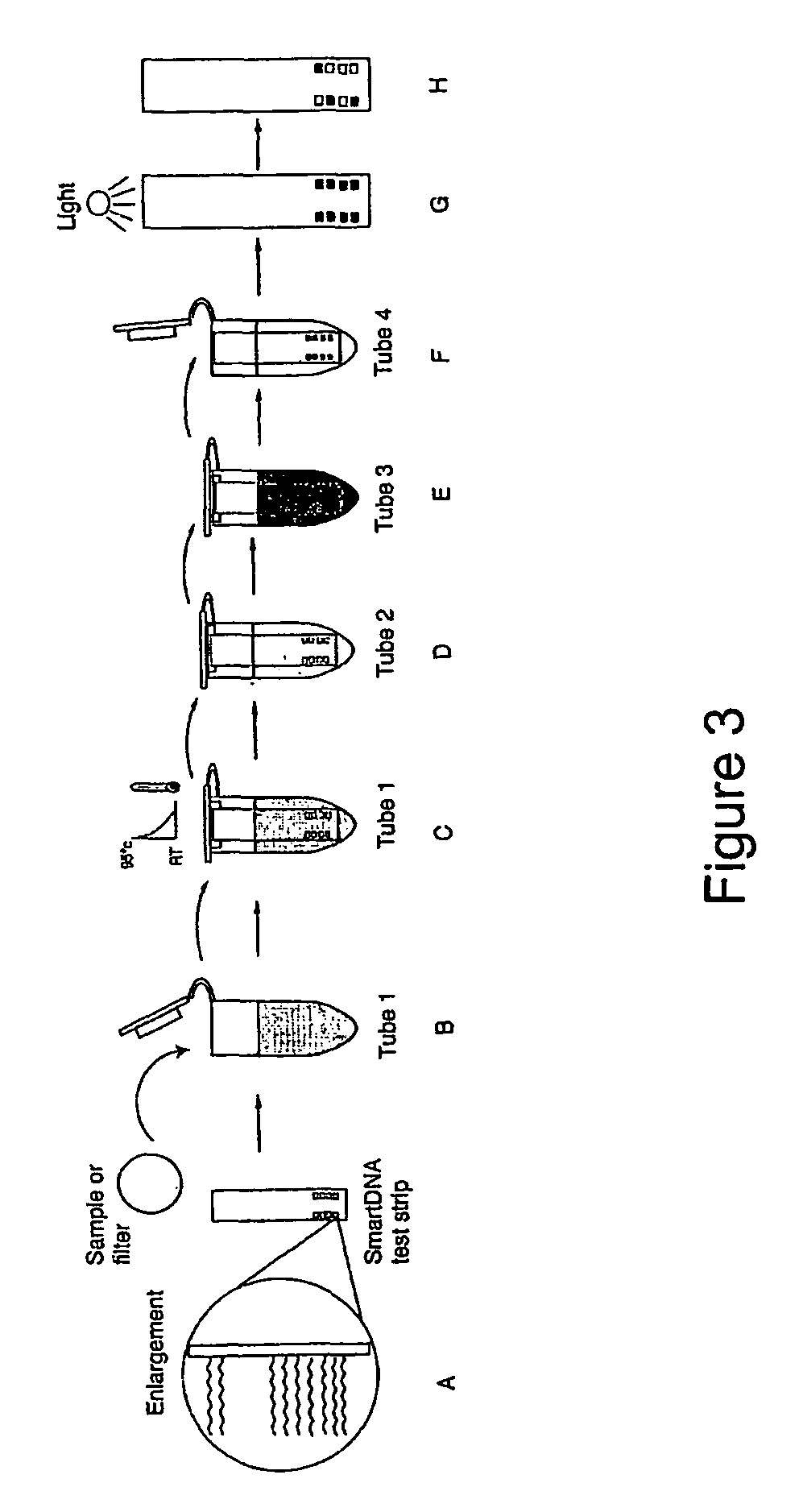 System for detecting polynucleotides